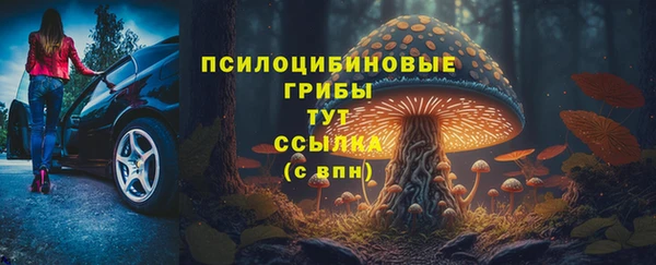 СК Лиски