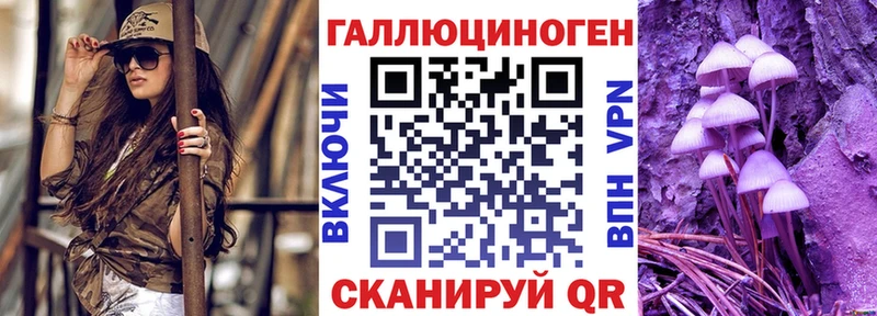 Псилоцибиновые грибы Psilocybe  купить закладку  Циолковский 